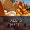 Our Favorite Season Is Here!